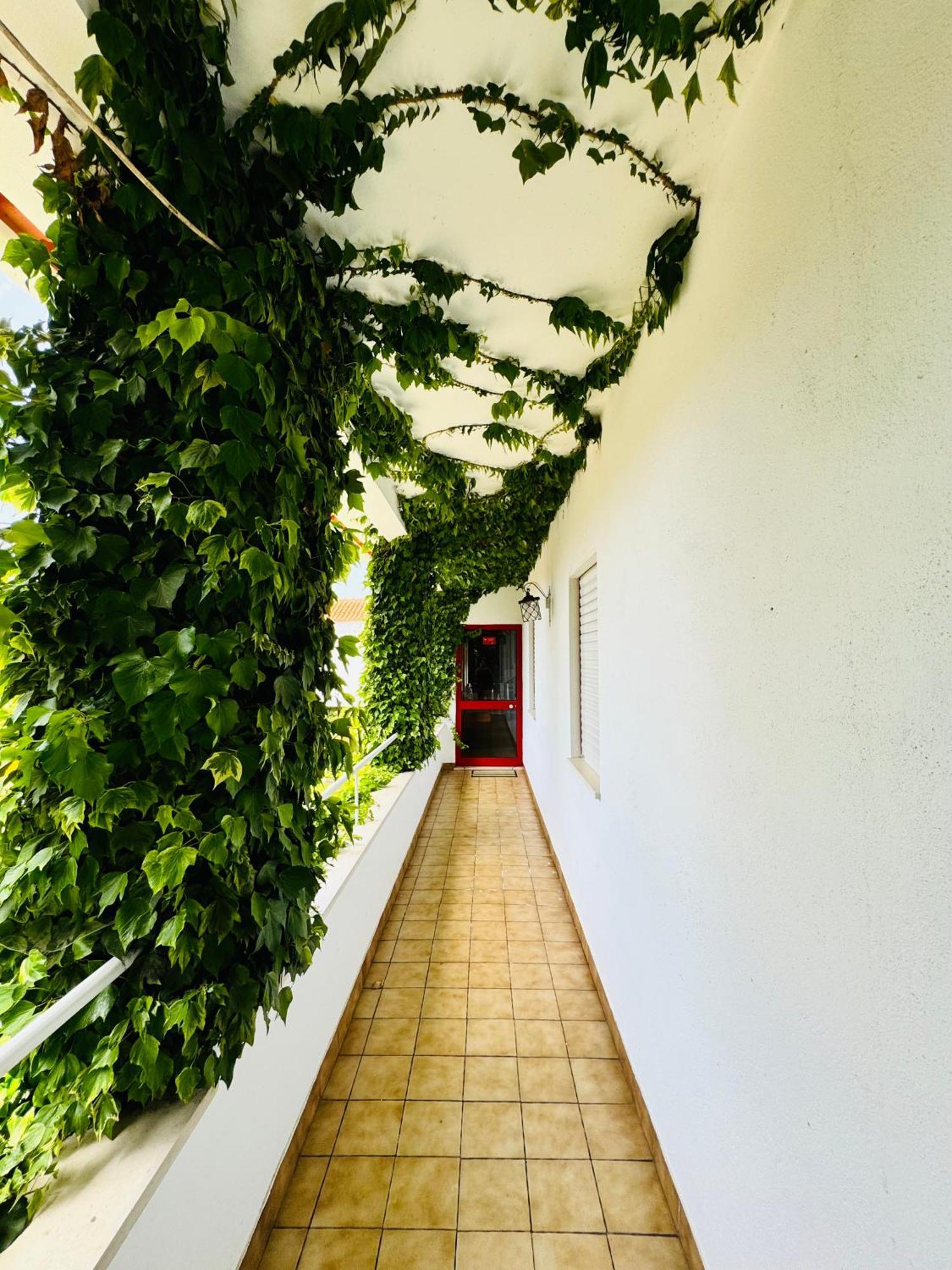 Nature & Beach Guest Rooms, Aldeamento Turistico Do Camarido Cristelo  المظهر الخارجي الصورة